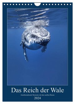 Im Reich der Wale (Wandkalender 2024 DIN A4 hoch), CALVENDO Monatskalender