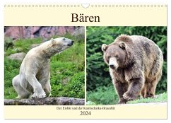 Bären - Der Eisbär und der Kamtschatka-Braunbär (Wandkalender 2024 DIN A3 quer), CALVENDO Monatskalender