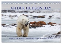 AN DER HUDSON BAY (Tischkalender 2024 DIN A5 quer), CALVENDO Monatskalender