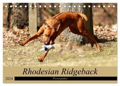 Rhodesian Ridgeback Powerpaket (Tischkalender 2024 DIN A5 quer), CALVENDO Monatskalender - Behrens, Dagmar