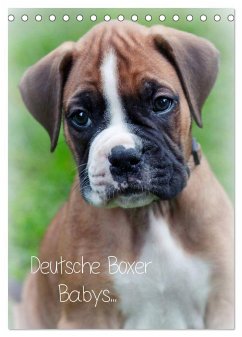 Deutsche Boxer Babys... (Tischkalender 2024 DIN A5 hoch), CALVENDO Monatskalender