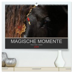 Magische Momente - Pferde Horses Caballos (hochwertiger Premium Wandkalender 2024 DIN A2 quer), Kunstdruck in Hochglanz