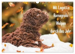 Mit Lagotto Romagnolo Welpen durch das Jahr (Wandkalender 2024 DIN A3 quer), CALVENDO Monatskalender
