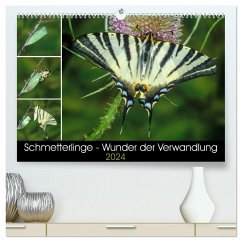 Schmetterlinge - Wunder der Verwandlung (hochwertiger Premium Wandkalender 2024 DIN A2 quer), Kunstdruck in Hochglanz