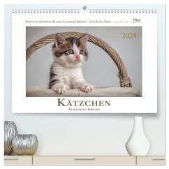 Kätzchen-Kalender mit Sprüchen (hochwertiger Premium Wandkalender 2024 DIN A2 quer), Kunstdruck in Hochglanz