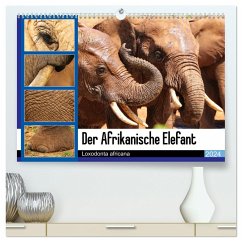 Der Afrikanische Elefant - Loxodonta africana (hochwertiger Premium Wandkalender 2024 DIN A2 quer), Kunstdruck in Hochglanz