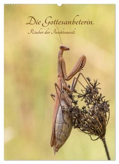 Die Gottesanbeterin. Räuber der Insektenwelt. (Wandkalender 2024 DIN A2 hoch), CALVENDO Monatskalender