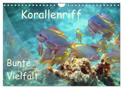 Bunte Vielfalt im Korallenriff (Wandkalender 2024 DIN A4 quer), CALVENDO Monatskalender - Niemann, Ute