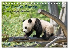 Der Große Panda Ein kuscheliger Geselle (Tischkalender 2024 DIN A5 quer), CALVENDO Monatskalender - Selection, Prime