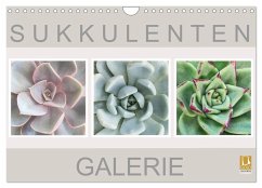 Sukkulenten Galerie (Wandkalender 2024 DIN A4 quer), CALVENDO Monatskalender - Wurster, Beate