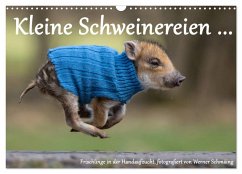 Kleine Schweinereien (Wandkalender 2024 DIN A3 quer), CALVENDO Monatskalender