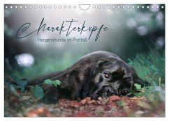 Charakterköpfe - Herzenshunde im Portrait (Wandkalender 2024 DIN A4 quer), CALVENDO Monatskalender