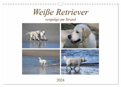 Weiße Retriever vergnügt am Strand (Wandkalender 2024 DIN A3 quer), CALVENDO Monatskalender - Schnellewelten