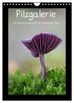 Pilzgalerie - Die geheimnisvolle Welt der heimischen Pilze (Wandkalender 2024 DIN A4 hoch), CALVENDO Monatskalender - Wurster, Beate