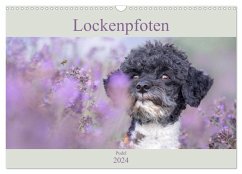 Lockenpfoten 2024 (Wandkalender 2024 DIN A3 quer), CALVENDO Monatskalender