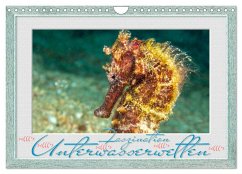Faszination Unterwasserwelten (Wandkalender 2024 DIN A4 quer), CALVENDO Monatskalender - Gödecke, Dieter