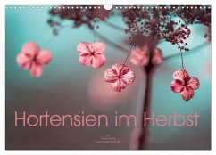 Hortensien im Herbst (Wandkalender 2024 DIN A3 quer), CALVENDO Monatskalender