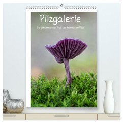 Pilzgalerie - Die geheimnisvolle Welt der heimischen Pilze (hochwertiger Premium Wandkalender 2024 DIN A2 hoch), Kunstdruck in Hochglanz