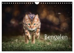 Bengalen Outdoor und Action (Wandkalender 2024 DIN A4 quer), CALVENDO Monatskalender