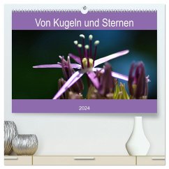 Von Kugeln und Sternen (hochwertiger Premium Wandkalender 2024 DIN A2 quer), Kunstdruck in Hochglanz