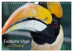 Exotische Vögel im Porträt (Wandkalender 2024 DIN A4 quer), CALVENDO Monatskalender