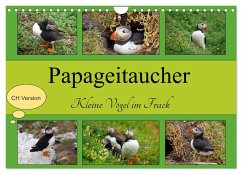 Papageitaucher Kleine Vögel im Frack CH Version (Wandkalender 2024 DIN A4 quer), CALVENDO Monatskalender - Paul - Babett's Bildergalerie, Babett