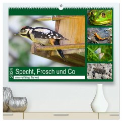 Specht, Frosch und Co - eine vielfältige Tierwelt (hochwertiger Premium Wandkalender 2024 DIN A2 quer), Kunstdruck in Hochglanz - Schimmack, Claudia