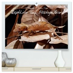 Reptilien auf Madagaskar (hochwertiger Premium Wandkalender 2024 DIN A2 quer), Kunstdruck in Hochglanz