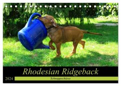 Rhodesian Ridgeback - Schnappschüsse - (Tischkalender 2024 DIN A5 quer), CALVENDO Monatskalender - Behrens, Dagmar
