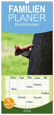 Familienplaner 2024 - Eichhörnchen mit 5 Spalten (Wandkalender, 21 x 45 cm) CALVENDO