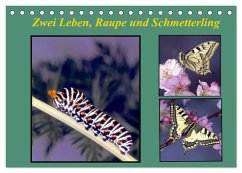 Zwei Leben, Raupe und Schmetterling (Tischkalender 2024 DIN A5 quer), CALVENDO Monatskalender - reupert, lothar