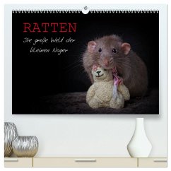 Ratten. Die große Welt der kleinen Nager (hochwertiger Premium Wandkalender 2024 DIN A2 quer), Kunstdruck in Hochglanz