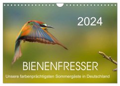 Bienenfresser, unsere farbenprächtigsten Sommergäste in Deutschland (Wandkalender 2024 DIN A4 quer), CALVENDO Monatskalender