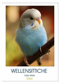 WELLENSITTICHE - Süße Wellis (Wandkalender 2024 DIN A3 hoch), CALVENDO Monatskalender