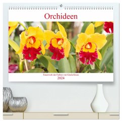 Orchideen Feuerwerk der Farben (hochwertiger Premium Wandkalender 2024 DIN A2 quer), Kunstdruck in Hochglanz