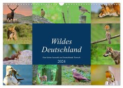 Wildes Deutschland (Wandkalender 2024 DIN A3 quer), CALVENDO Monatskalender