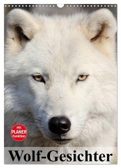 Wolf-Gesichter (Wandkalender 2024 DIN A3 hoch), CALVENDO Monatskalender - Stanzer, Elisabeth
