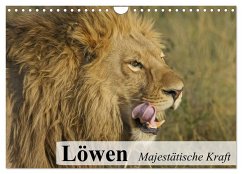 Löwen. Majestätische Kraft (Wandkalender 2024 DIN A4 quer), CALVENDO Monatskalender