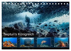 Neptun's Königreich (Tischkalender 2024 DIN A5 quer), CALVENDO Monatskalender - & Tilo Kühnast - naturepics, Yvonne