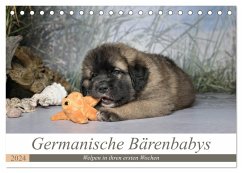 Germanische Bärenbabys (Tischkalender 2024 DIN A5 quer), CALVENDO Monatskalender - Teßen, Sonja