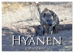 Hyänen - groß und klein (Wandkalender 2024 DIN A3 quer), CALVENDO Monatskalender