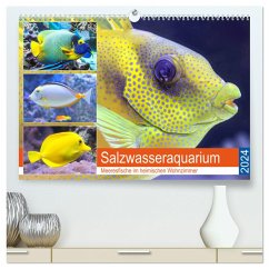 Salzwasseraquarium. Meeresfische im heimischen Wohnzimmer (hochwertiger Premium Wandkalender 2024 DIN A2 quer), Kunstdruck in Hochglanz - Hurley, Rose