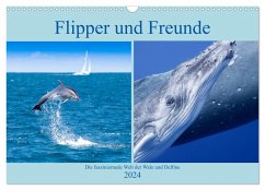Flipper und Freunde (Wandkalender 2024 DIN A3 quer), CALVENDO Monatskalender