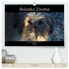 Bolonka Zwetna 2024 (hochwertiger Premium Wandkalender 2024 DIN A2 quer), Kunstdruck in Hochglanz