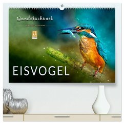 Wunderschöner Eisvogel (hochwertiger Premium Wandkalender 2024 DIN A2 quer), Kunstdruck in Hochglanz - Roder, Peter
