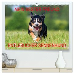 Mein bester Freund - Entlebucher Sennenhund (hochwertiger Premium Wandkalender 2024 DIN A2 quer), Kunstdruck in Hochglanz