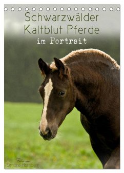 Schwarzwälder Kaltblut Pferde im Portrait (Tischkalender 2024 DIN A5 hoch), CALVENDO Monatskalender