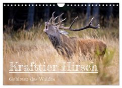 Krafttier Hirsch (Wandkalender 2024 DIN A4 quer), CALVENDO Monatskalender