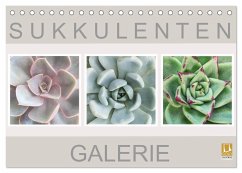 Sukkulenten Galerie (Tischkalender 2024 DIN A5 quer), CALVENDO Monatskalender