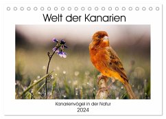 Welt der Kanarien (Tischkalender 2024 DIN A5 quer), CALVENDO Monatskalender